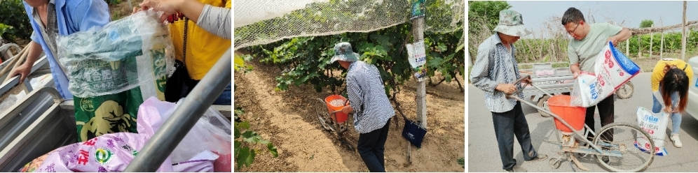 5月份，技术员跟踪指导施肥.jpg