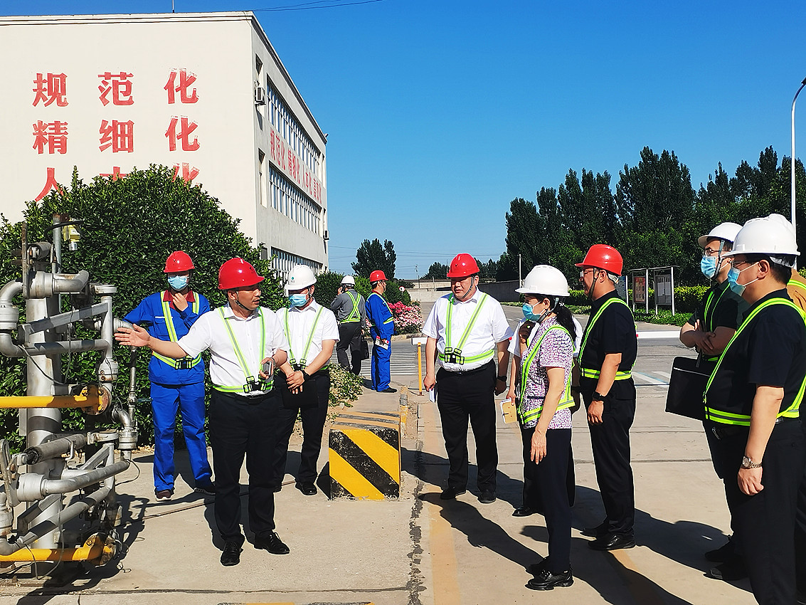 5月26日，国务院安委会综合检查组魏丽萍（右四）一行，在河北省、保定市、徐水区有关领导陪同下，前往河北加拿大pc28预测督导检查安全生产相关工作，该公司总经理周文乾（左二）热情接待。.jpg