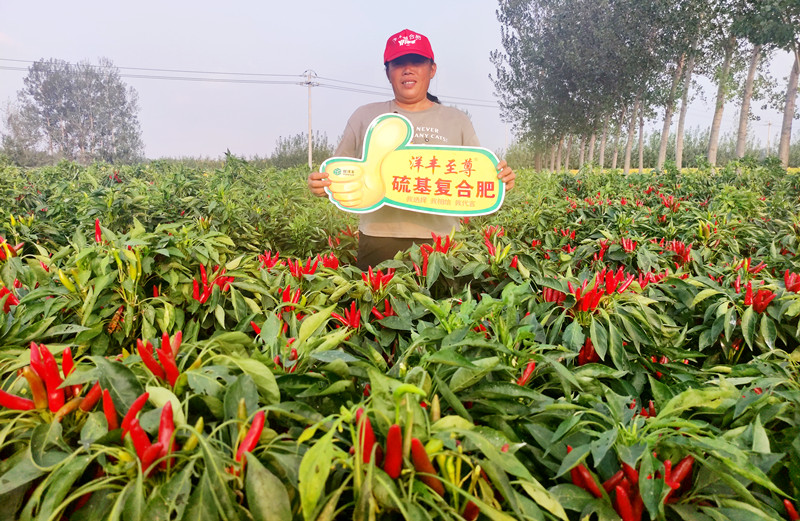 种植户：田美霞_副本.jpg